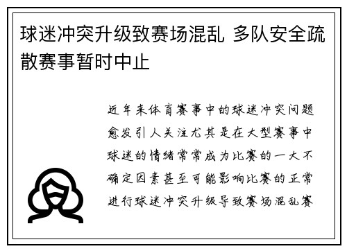 球迷冲突升级致赛场混乱 多队安全疏散赛事暂时中止