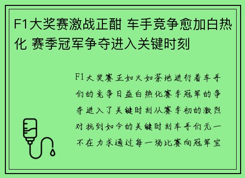 F1大奖赛激战正酣 车手竞争愈加白热化 赛季冠军争夺进入关键时刻