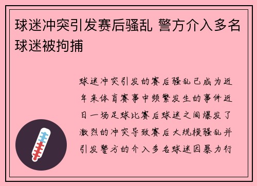 球迷冲突引发赛后骚乱 警方介入多名球迷被拘捕